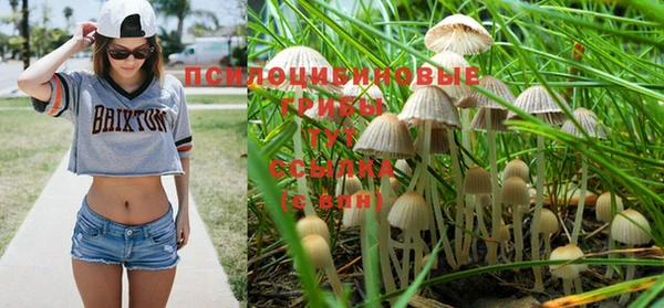 герыч Мегион