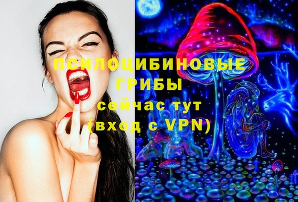 герыч Мегион