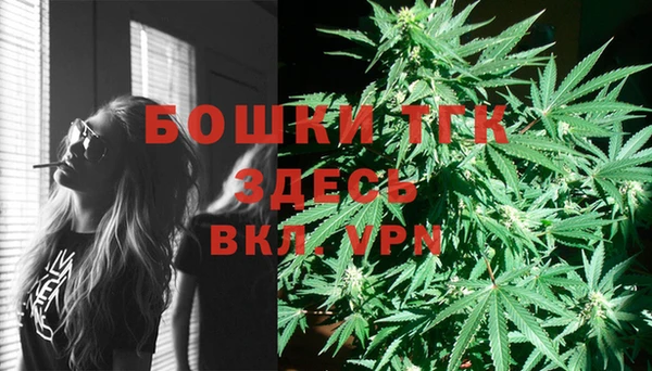 герыч Мегион