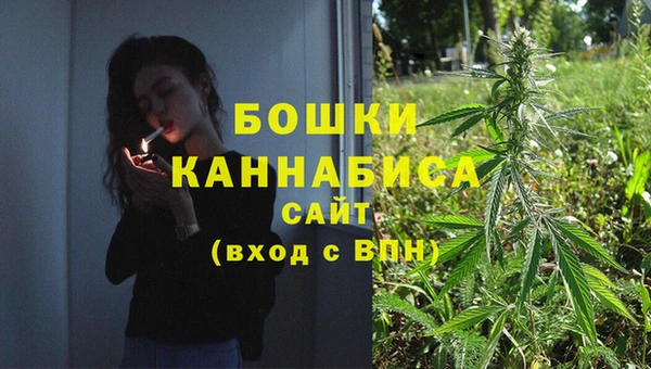 герыч Мегион